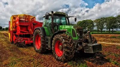 развитие сельского хозяйства в Туркестанской области, фото - Новости Zakon.kz от 10.12.2024 19:01