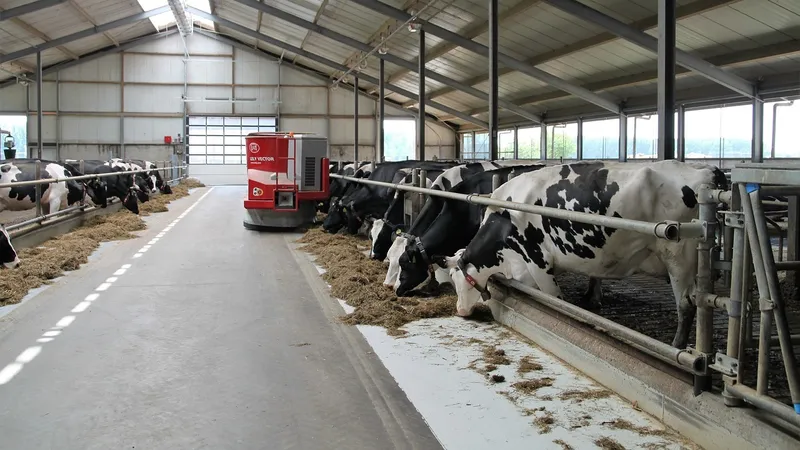 В Туркестанской области открыта современная молочно-товарная ферма