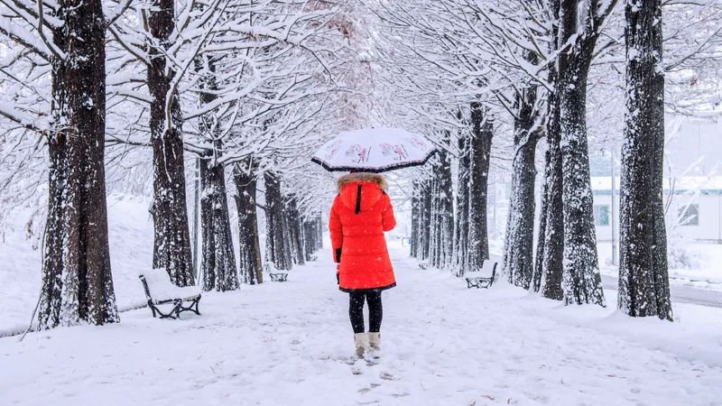 Морозы и снегопады не отступают: прогноз погоды в Казахстане на 11-13 февраля