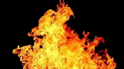 Несколько человек пострадали при пожаре в салоне красоты в Косшы, фото - Новости Zakon.kz от 28.12.2024 22:47