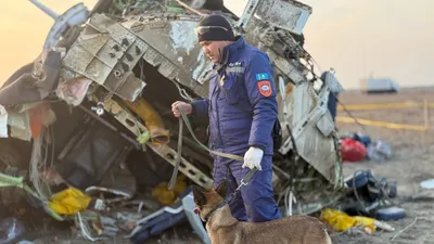 , фото - Новости Zakon.kz от 06.01.2025 15:23