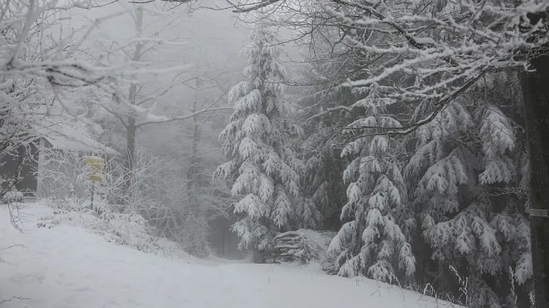 Метель, туман и гололед: в каких областях Казахстана объявили штормовое предупреждение