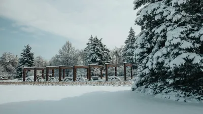 Снег, снегопад, зима, холод, мороз, заморозки, Ботанический сад, ботанический сад в Алматы, ботанический сад зимой, фото - Новости Zakon.kz от 29.01.2025 13:43