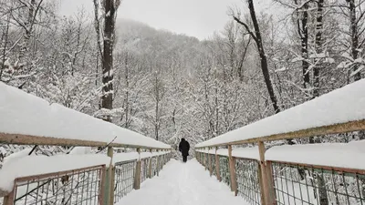 Снег, снегопад, зима, холод, мороз, заморозки, фото - Новости Zakon.kz от 04.02.2025 18:04