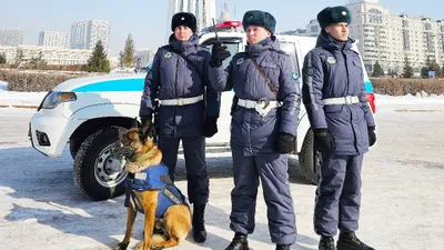 Национальная Гвардия, праздник, День Национальной гвардии, фото - Новости Zakon.kz от 10.01.2025 13:37