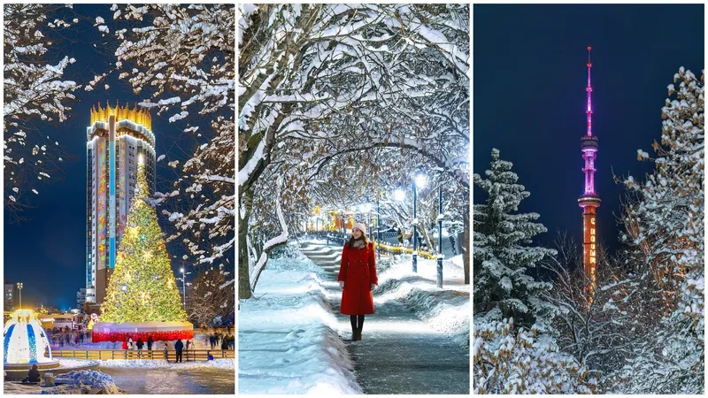 Зимняя сказка в Алматы попала в объектив известного фотографа