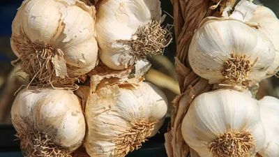 Какие овощи нельзя хранить в холодильнике, фото - Новости Zakon.kz от 13.01.2025 00:41