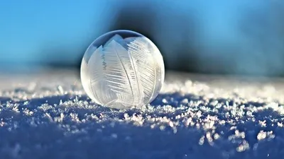 поляк пролежал на снегу два часа ради рекорда, фото - Новости Zakon.kz от 14.01.2025 01:17