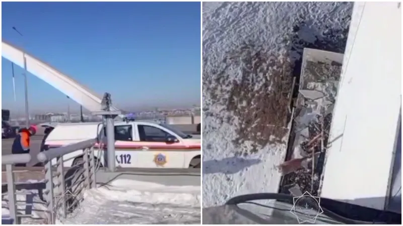 "Спецоперацию" по спасению кота развернули в Астане