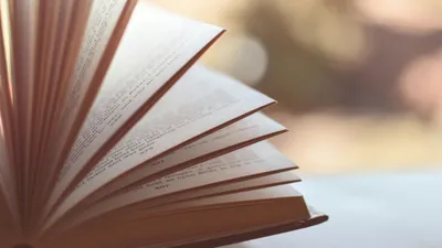 Самая длинная скороговорка в мире: почему "Лигурия" считается испытанием , фото - Новости Zakon.kz от 14.01.2025 12:27