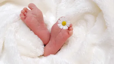 Сколько новорожденных не получили прививки от туберкулеза в ВКО в 2024 году, фото - Новости Zakon.kz от 14.01.2025 22:35