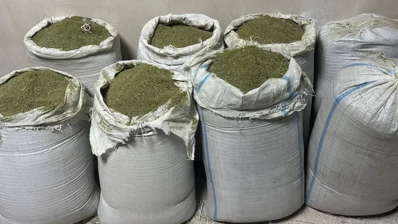 В Актау и Алматы ликвидировали каналы сбыта наркотиков