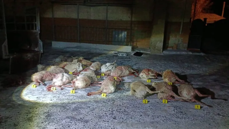 19 туш сайгаков и незаконное оружие везли в автомобиле жители Кызылординской области