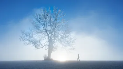 штормовое предупреждение, фото - Новости Zakon.kz от 18.01.2025 22:43