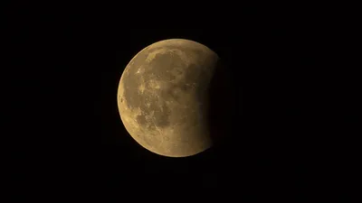 В США заявили о формирующемся лунном рынке, фото - Новости Zakon.kz от 18.01.2025 07:20