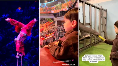 Пятая жена Петросяна опубликовала редкое видео с сыном, фото - Новости Zakon.kz от 18.01.2025 20:33