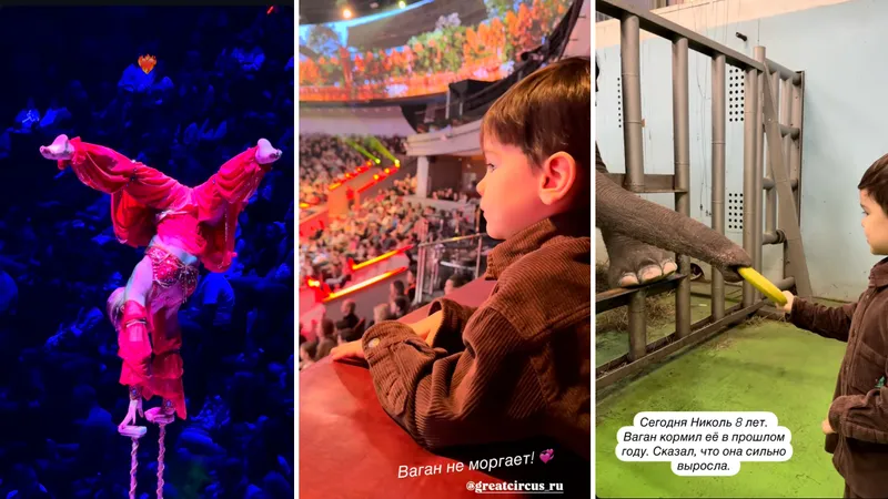 Пятая жена Петросяна опубликовала редкое видео с сыном