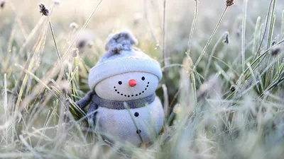 Гороскоп на сегодня, фото - Новости Zakon.kz от 20.01.2025 06:40