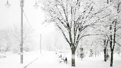 Снег, снегопад, зима, ветер, холод, мороз, заморозки, метель, фото - Новости Zakon.kz от 22.01.2025 16:23
