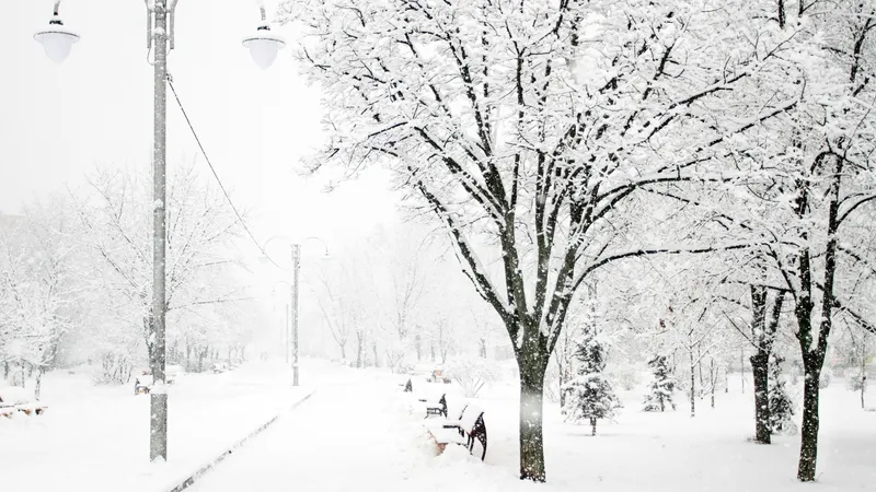 32-градусный мороз, метель и снегопад: какой будет погода в Астане, Алматы и Шымкенте в ближайшие три дня