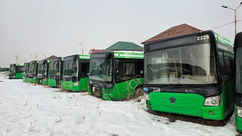 кладбище автобусов, автобусы, сломанные автобусы, фото - Новости Zakon.kz от 27.01.2025 14:54
