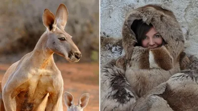 Шубы из кенгуру в России, фото - Новости Zakon.kz от 22.01.2025 04:20