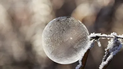 штормовое предупреждение, фото - Новости Zakon.kz от 21.01.2025 20:01