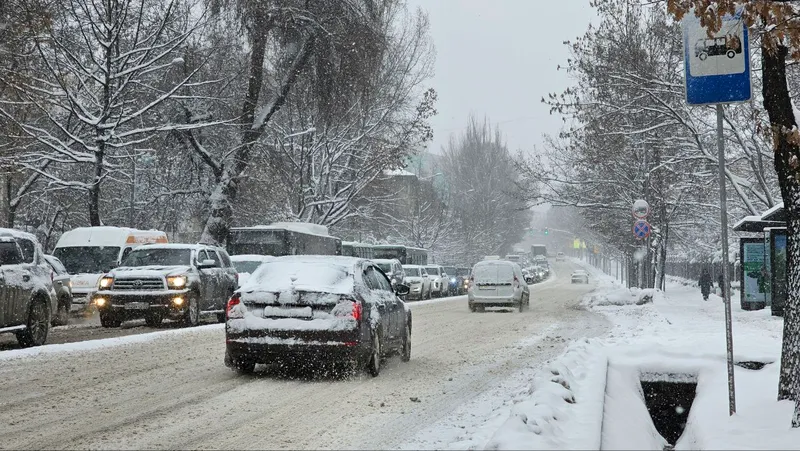 Сенатор предложил убрать скидки по оплате штрафов злостным нарушителям ПДД