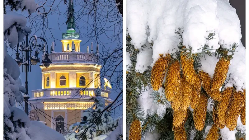 Волшебную зимнюю сказку показал популярный фотограф из Алматы