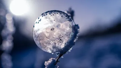 штормовое предупреждение, фото - Новости Zakon.kz от 23.01.2025 20:01