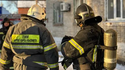 Пожарный из Уральска откачал надышавшуюся дымом кошку, фото - Новости Zakon.kz от 24.01.2025 21:02