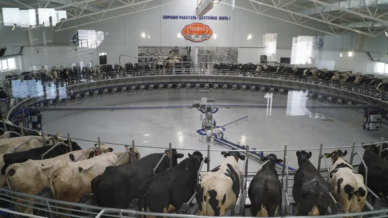 "Карусель" рекордов: Акмолинская область увеличит поставки молочной продукции в столицу до 50%