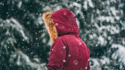 Снег, снегопад, зима, ветер, холод, мороз, заморозки, метель, фото - Новости Zakon.kz от 21.02.2025 04:35