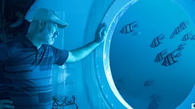 Рюдигер Кох прожил в подводной стальной капсуле 120 дней , фото - Новости Zakon.kz от 26.01.2025 02:59