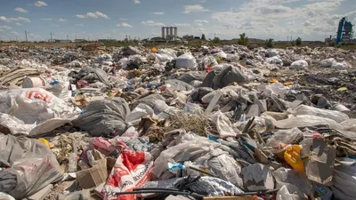 свалки, мусор, мусорный полигон , фото - Новости Zakon.kz от 26.01.2025 10:40