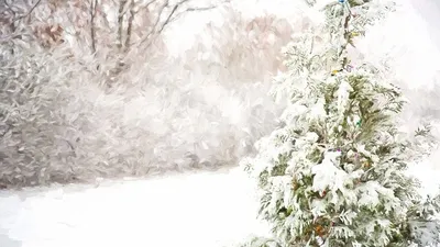 , фото - Новости Zakon.kz от 28.01.2025 09:16