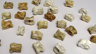 , фото - Новости Zakon.kz от 27.06.2025 12:43