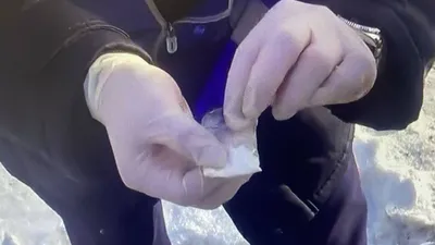 наркотики, закладки, преступность, полиция, фото - Новости Zakon.kz от 27.01.2025 19:23