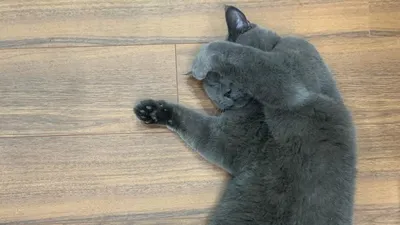 , фото - Новости Zakon.kz от 07.02.2025 09:37