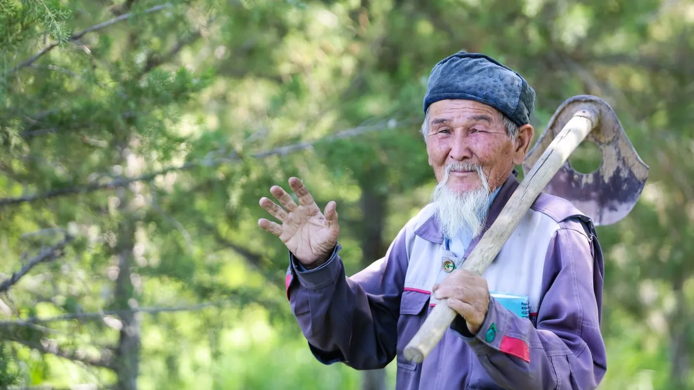 Жыныстық қатынас