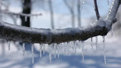 штормовое предупреждение, фото - Новости Zakon.kz от 29.01.2025 20:01