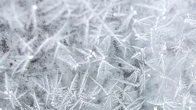 Какая погода ожидается в Астане, Алматы и Шымкенте 31 января и в первые дни февраля, фото - Новости Zakon.kz от 30.01.2025 15:30