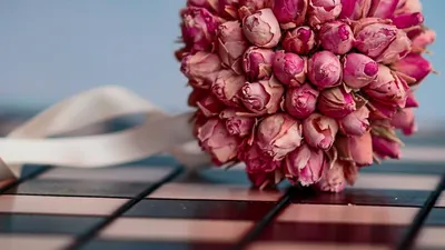 Шахматы, фото - Новости Zakon.kz от 31.01.2025 06:45