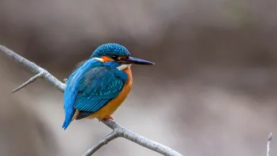 Гороскоп на сегодня, фото - Новости Zakon.kz от 01.02.2025 03:20