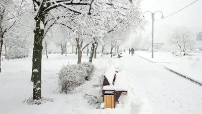 Какой будет погода 1 февраля в Казахстане, фото - Новости Zakon.kz от 31.01.2025 17:34