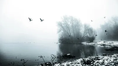 Дожди со снегом в Астане, в Алматы минус 10°С: о погоде на 1-3 февраля, фото - Новости Zakon.kz от 31.01.2025 16:02