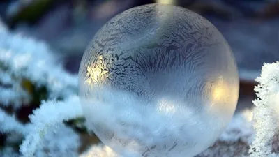 штормовое предупреждение, фото - Новости Zakon.kz от 02.02.2025 20:07