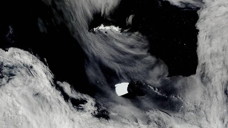 От крупнейшего в мире айсберга откололась глыба площадью около 80 квадратных километров