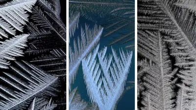 морозные узоры на окнах, фото - Новости Zakon.kz от 02.02.2025 21:13