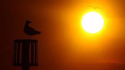 Вспышки на Солнце, магнитные бури, прогноз, фото - Новости Zakon.kz от 03.02.2025 14:32